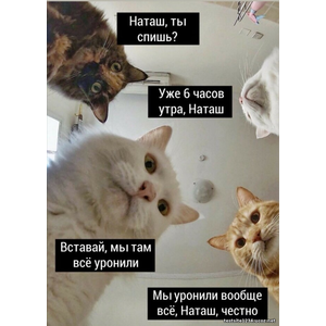 Капуста Айсберг/ Седек